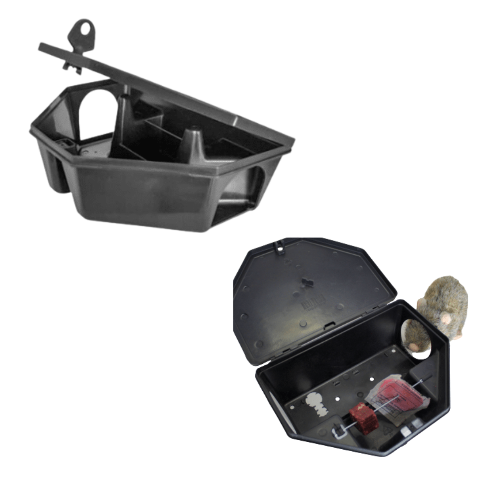 Ratox Caja 50 Unidades Ratox Light – Mercadoplaga
